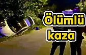 Kazada sürücü hayatını kaybetti
