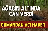 Kestiği Ağacın Altında kaldı