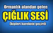 Ormandan gelen çığlık polisi alarma geçirdi