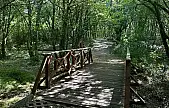 Şehirden uzak, doğaya yakın