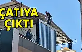 Yalıda hareketli dakikalar