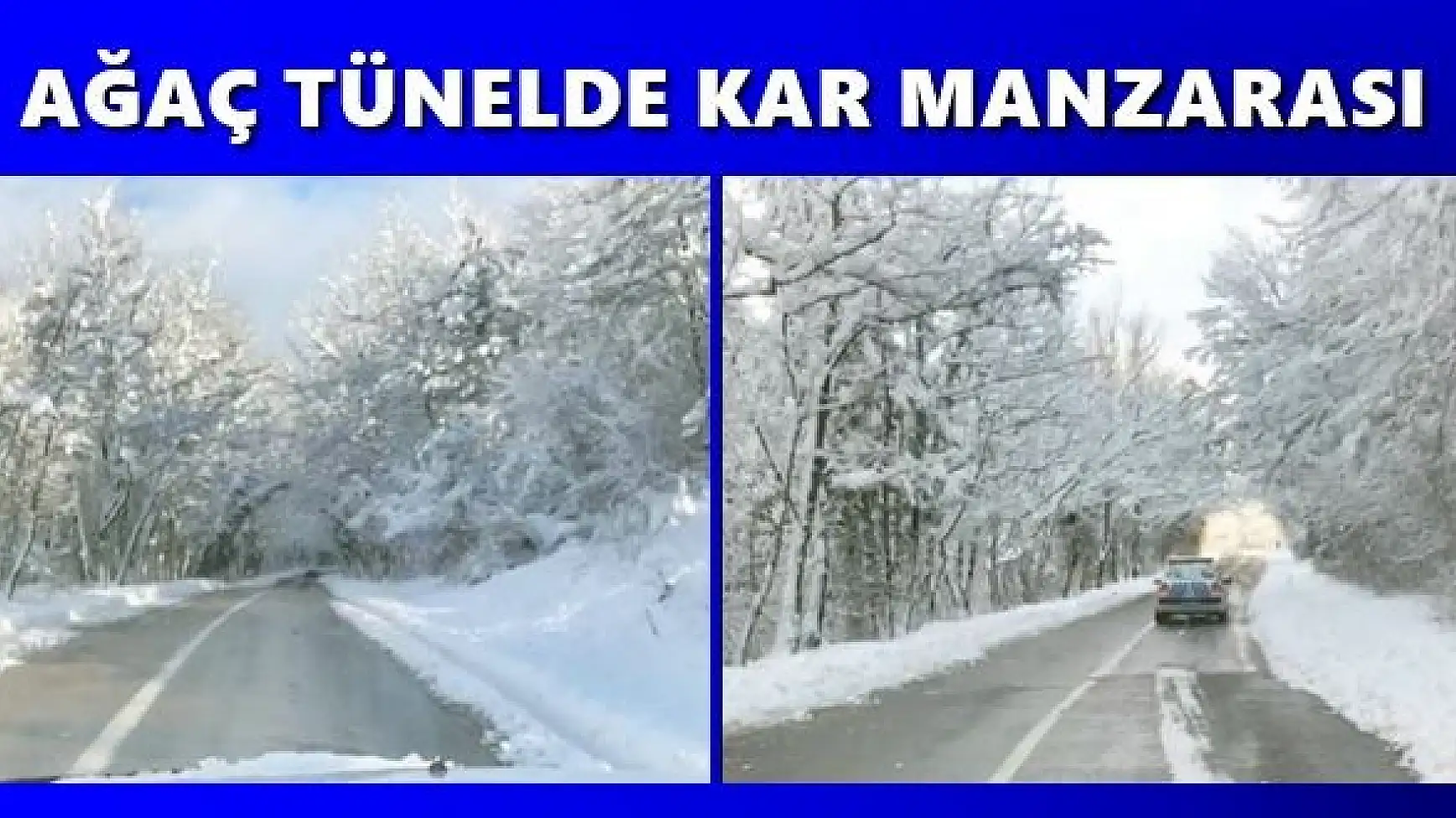 Ağaç tünelde muhteşem kar manzarası