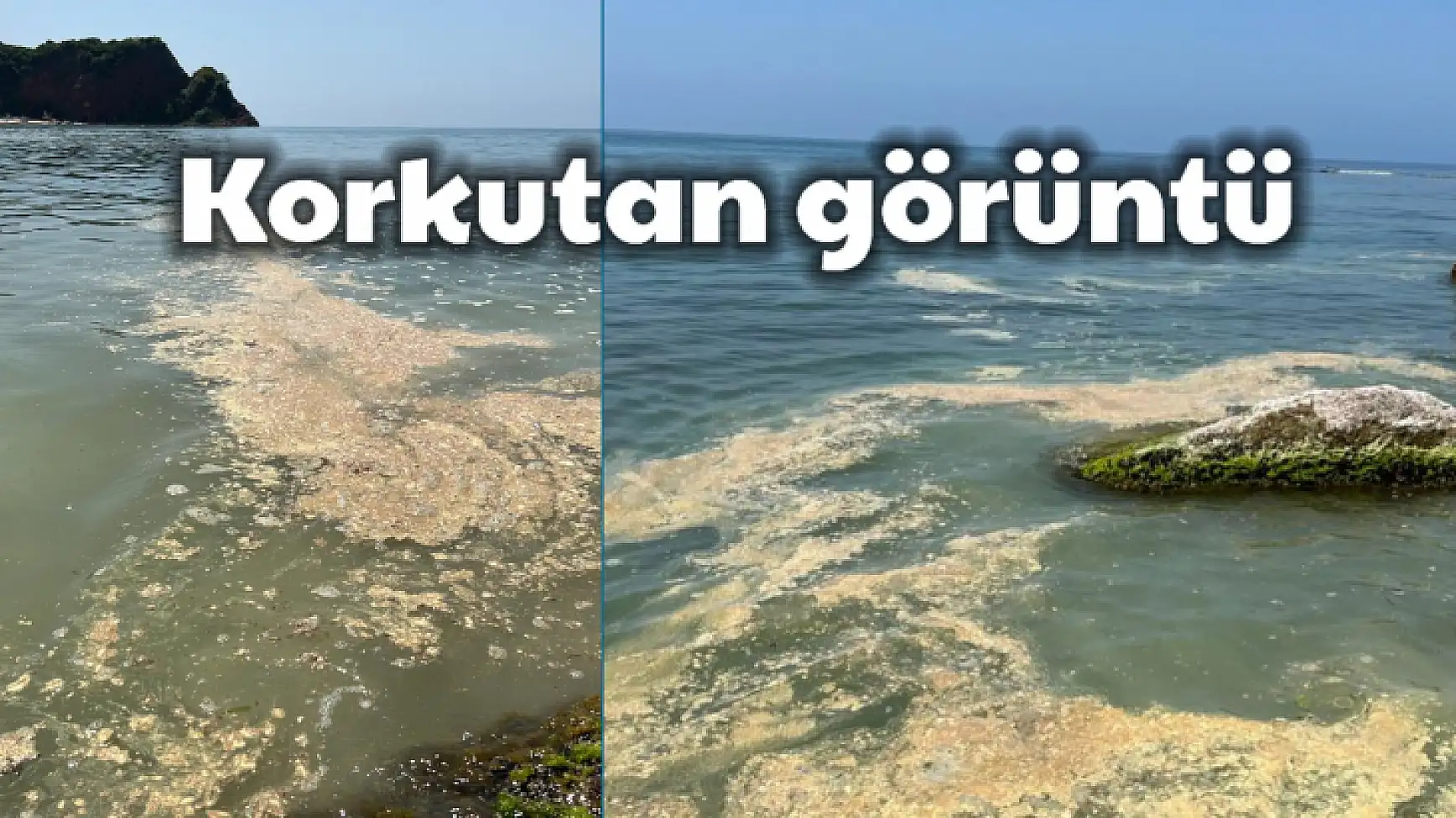 Çakraz sahilinde korkutan görüntü