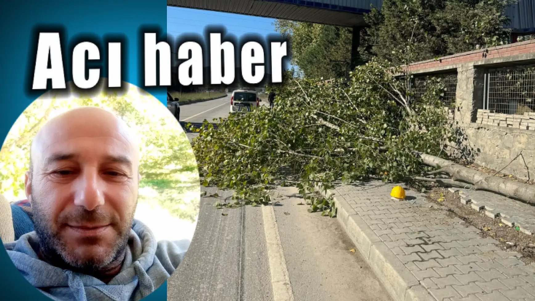 Kestiği ağaç üzerine devrildi