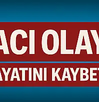Ağaç keserken hayatını kaybetti