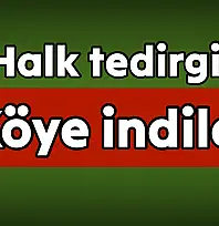 Amasra'da 3 Ayı Köye İndi!