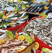 Balık bollaştı, tezgahlar coştu