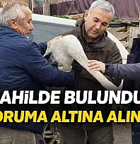 Bartın'da duyarlı müdahale