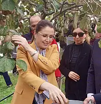 Bartın'da hasat heyecanı