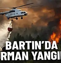 Bartın'da orman yangını çıktı