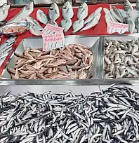 Deniz cömert, pazar sert