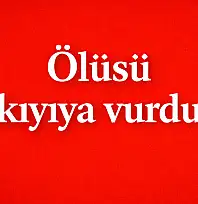 Dev dalgalar, kıyıya sürükledi