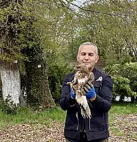 Doğanın sessiz misafirlerine şefkatli dokunuş