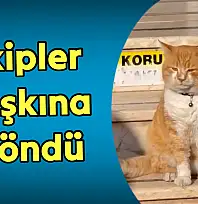 Ekipleri şaşkına çeviren olay