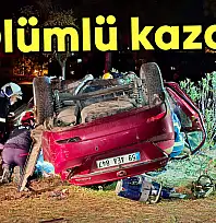 Feci kazada can verdi