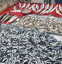 Fiyatlar vatandaşın yüzünü güldürdü