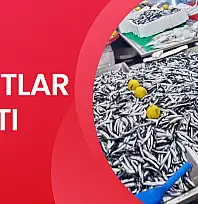 Hava bozdu, balık azaldı