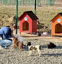 Hayvan Doğal Yaşam Alanı kuruldu