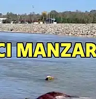 Irmakta acı manzara!