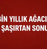 Kesildi satıldı ama yok olmadı