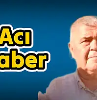 Kestiği ağacın altında kaldı