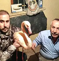 Mugada Sahili'nde Bir İlk!