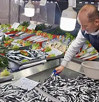 Oynuyor balık, tezgahlar kalabalık