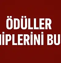 Proje ekibine ödül