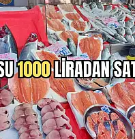 Tezgahın kralı geldi