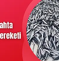 Tezgahlarda cuma bereketi
