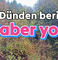 Yaşlı kadın ormanda aranıyor