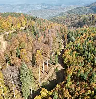 Yaylalarda sonbahar güzelliği