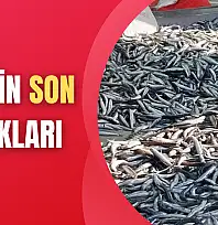Yılın son balıkları satışta