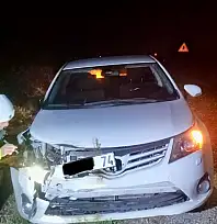 Yola fırladı, canından oldu