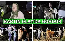 15 hayvan sahiplerine teslim edildi