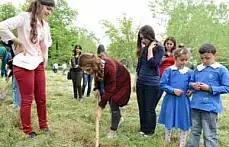 Soma Şehitleri Anısına Hatıra Ormanı