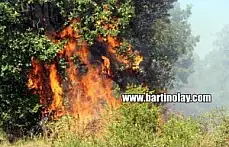 Bartın'da Orman Yangınından en sıcak görüntüler
