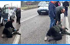 Akıl almaz kaza, 1 yaralı