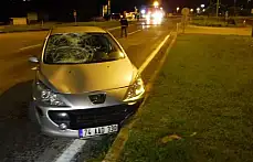 Alkollü kadın sürücü polise çarptı