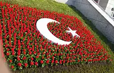 Ay Peyzaj çiçekçilik bahçelerinizi güzelleştiriyor