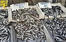 Balık Sezonu başladı, işte fiyatlar