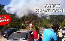Bartın'da orman yangını