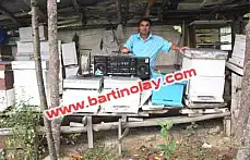 BU ARILAR OYUN HAVASI DİNLİYOR