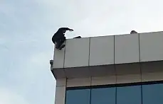 Çaycuma'da 2. İntihar Girişimi