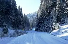 Gezen Yaylası'nda Kar Manzaraları