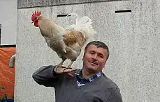 Çok sevdiği horozlarına onun adını koydu