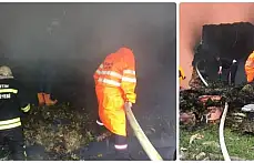 Defne yaprağı fabrikasında yangın