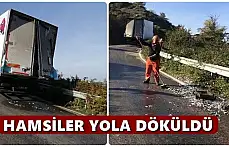 Hamsiler yola saçıldı