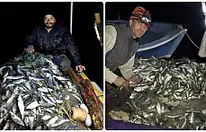 Hey Maşallah, derya kuzusu bunlar