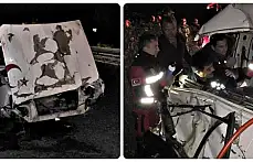 İki araç mandalara çarptı